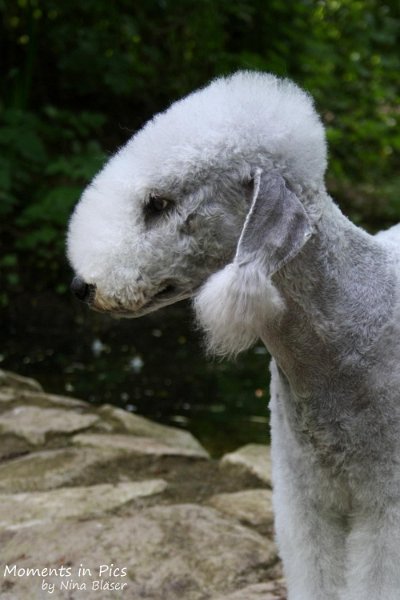 2010-05-29 Arc-en-ciel Alanna (4).jpg - Arc-en-ciel Alanna 2010-05-29